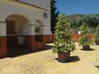 Luxury Apartments In a Beautiful Cortijo In Rural Andalucia