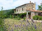 Holiday Apartment Tuscany Coast Near Pisa