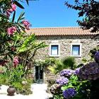 Casa do Alferes Curado Central Portugal apartment or Bed and Breakfast