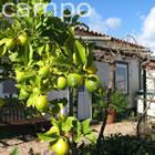 A rural cottage in the protected nature reserve of Costa Azul