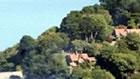 Countisbury Cottage