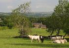 Northumbrian Holiday Cottage